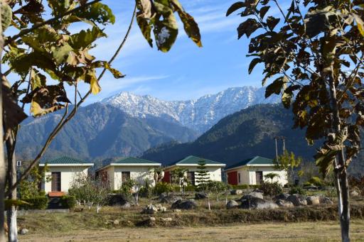 Dhauladhar View Village Resort - Housity