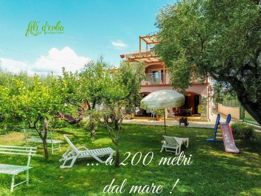 Fili d'Erba Cilento - Housity