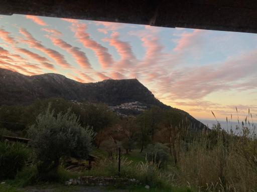 Affittacamere L’ Agrumeto - Housity