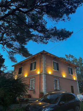 Allulivus - Housity