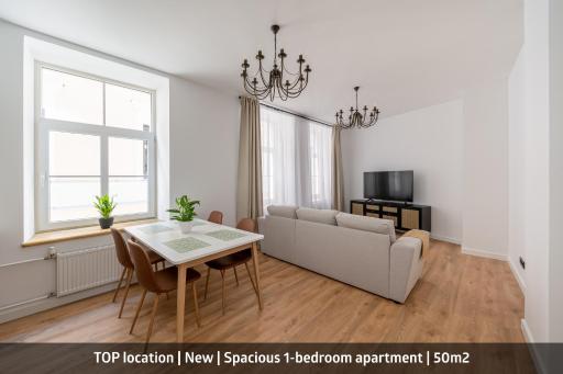 Spacious 1-bedroom apartment in the heart of Old Town - Housity