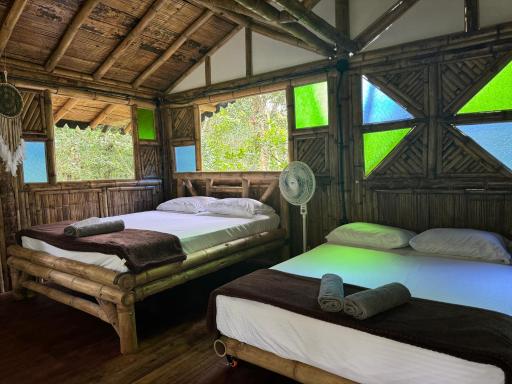 Selvatica EcoHostal - Housity