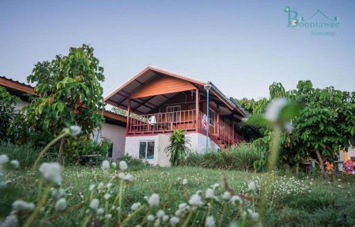 Boontawee homestay - Housity