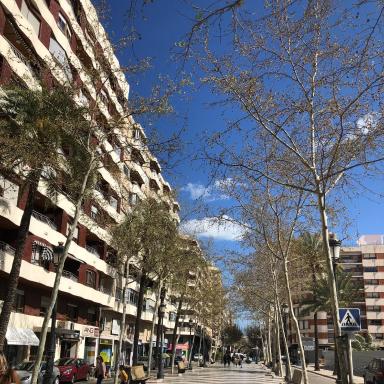 Habitaciones en GANDIA a 5 min del centro histórico - Housity
