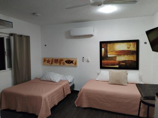 Estudio zona centro cerca de la terminal ADO - Housity