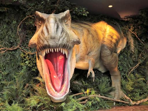 Henn na Hotel Maihama Tokyo Bay - Housity