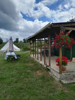 Cuckoo Lake Forest Cabin - Housity