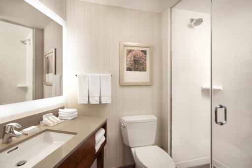 Hilton Garden Inn Long Island City - Housity