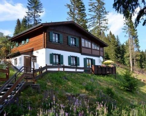 Almhaus am Hohenwart in Klippitztörl - a78168 - Housity