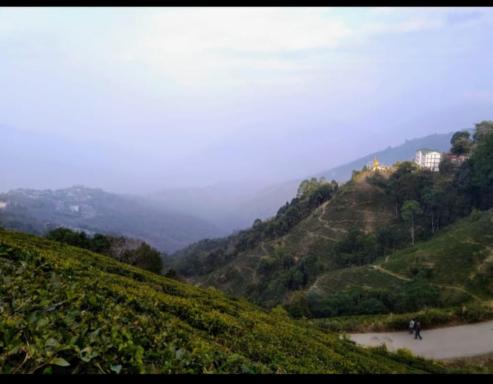 Mountain Homestay - Housity