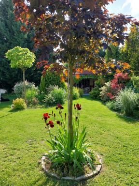 Cozy rooms in wine town - Modra - Housity