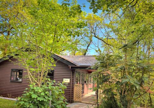 Shrew Lodge-woodland Lodges-Hot Tub-Pembrokeshire-Tenby - Housity