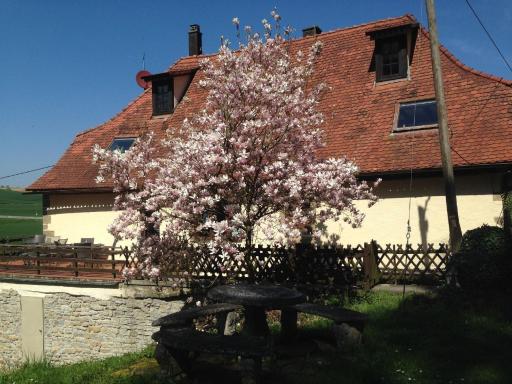 Schöne Ferienwohnung in Sinsheim mit Großer Terrasse - Housity