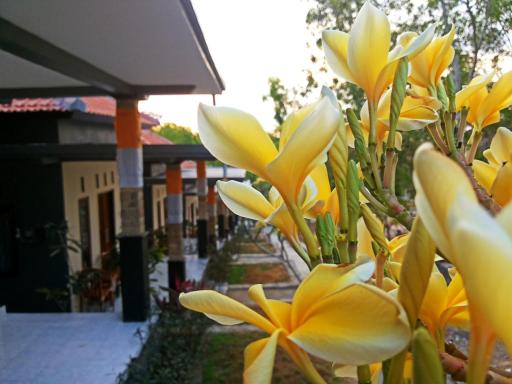 Tregge Surf Camp Uluwatu - Housity