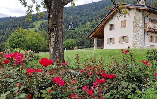 B&B La Paganina - Housity