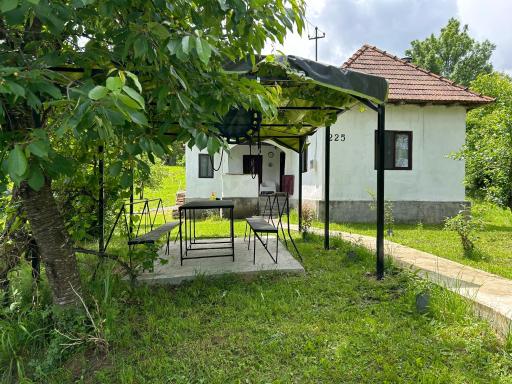 Pridvorul lui Viorel - Housity