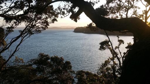 Auckland Clifftop - Housity