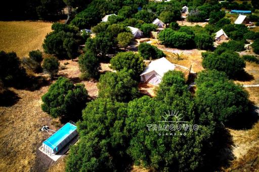 Tranquilo Glamping - Housity