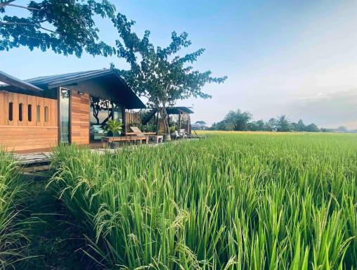 BREATHE - Rice Valley - Housity