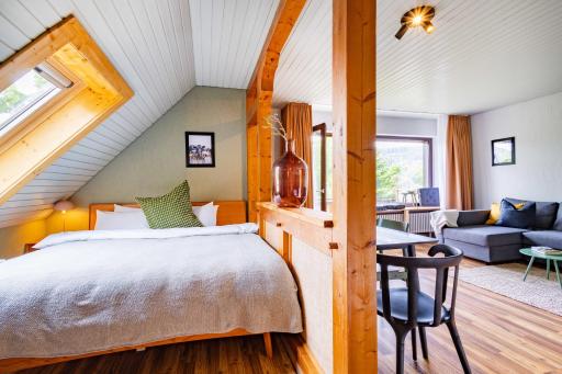 black forest apartments titisee - Housity