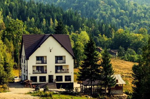 Pensiunea Fish Valley - Housity