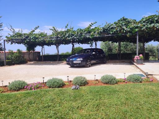 Apartment Licardo - Housity