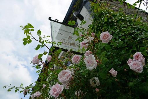 The Mulberry Inn - Housity