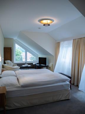 Hotel Sonne Eintracht KG Achern - Housity