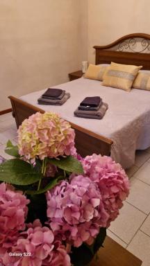 CORTE RITALTONI - Housity