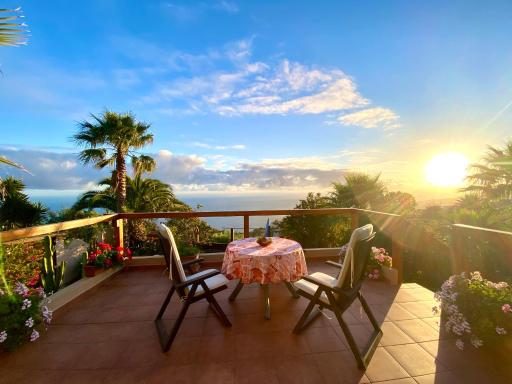 Finca Tenerife - Authentisches kanarisches Haus mit Traumblick und tropischem Garten - Housity
