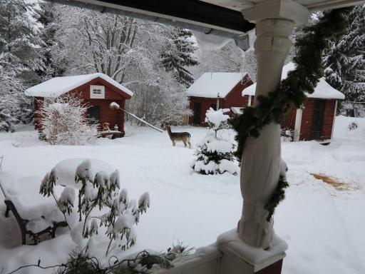 Olsbacka cottage - Housity
