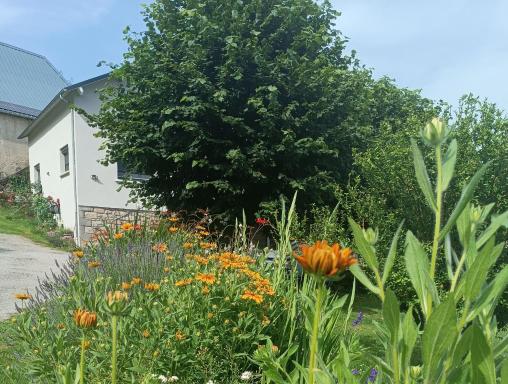 Le domaine de Moïse - Housity