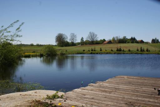 Domki nad stawem - Housity