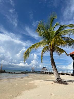 Gold Coast Phu Quoc Beach Resort - Housity