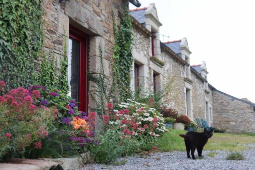 La Petite Bérais - Housity