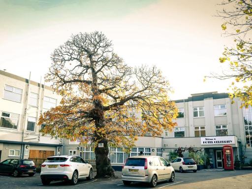 Hotel Celebrity Bournemouth East Cliff by Villare hotels - Hizvo