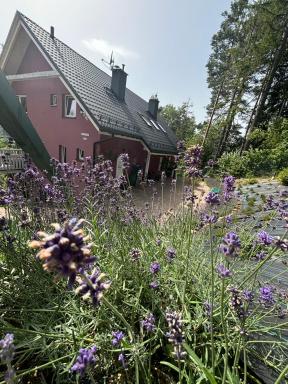 Apartamenty Lavender Hill - Housity