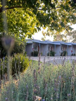 Patterson B&B - Hizvo