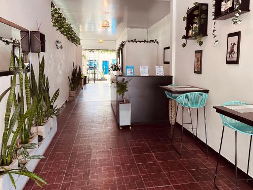 Casa Cabieles Hostal - Housity