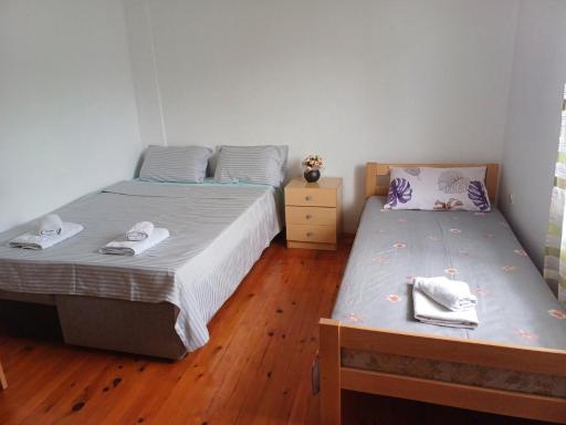 Peace - Housity
