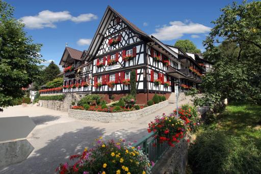 Rebstock Waldulm - Housity