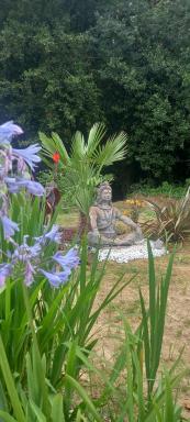 Le chant des oiseaux - Housity