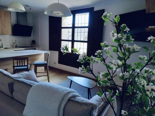 Apartamento Palacio de los Burgo - Housity
