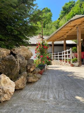 Guest House BOZVILL - Housity