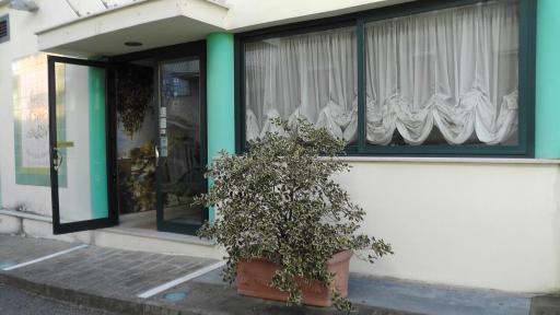Alma Hotel San Giorgio - Housity