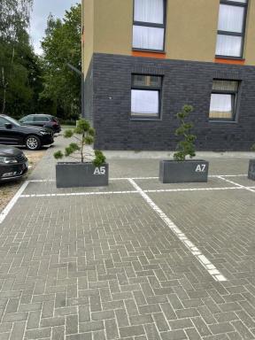 Parko nauji apartamentai - Hizvo