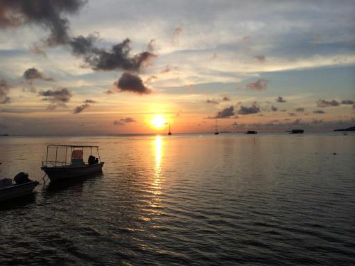 Omah Alchy Cottages - Housity