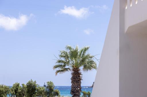 RODAVGI APARTMENTS - Housity