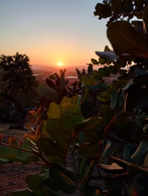 Ronnavona Casa Vacanze B&B - Housity