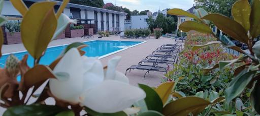Éden apartman - Housity